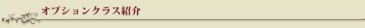 オプションクラス